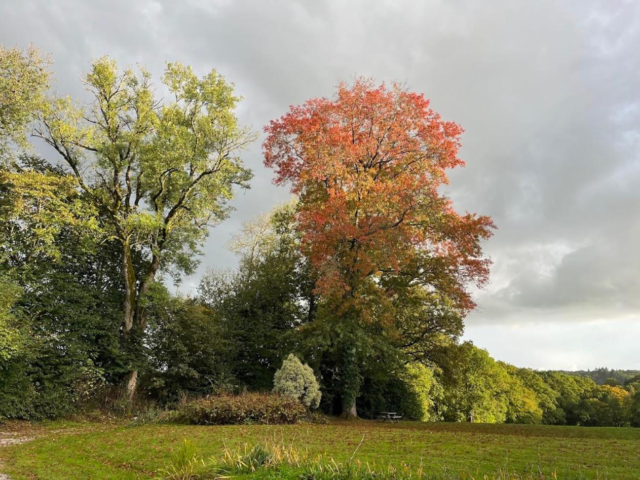 Chateau Ville Voisin Augan Luaran gambar